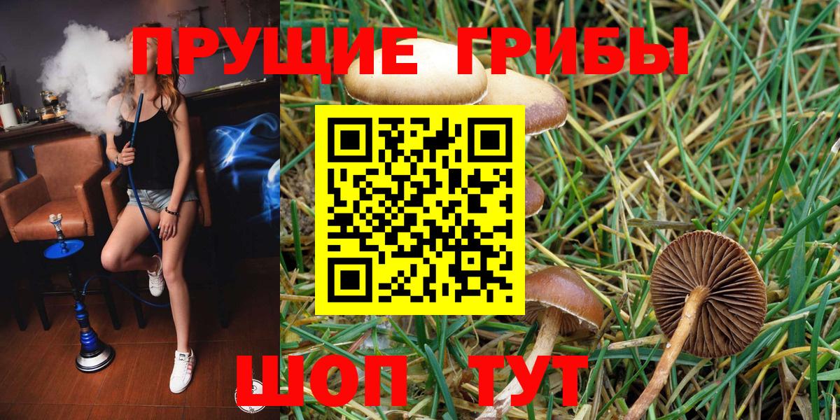 Галлюциногенные грибы Psilocybe  Галлюциногенные грибы Psilocybe  Подольск  хочу наркоту  Вход с VPN 
